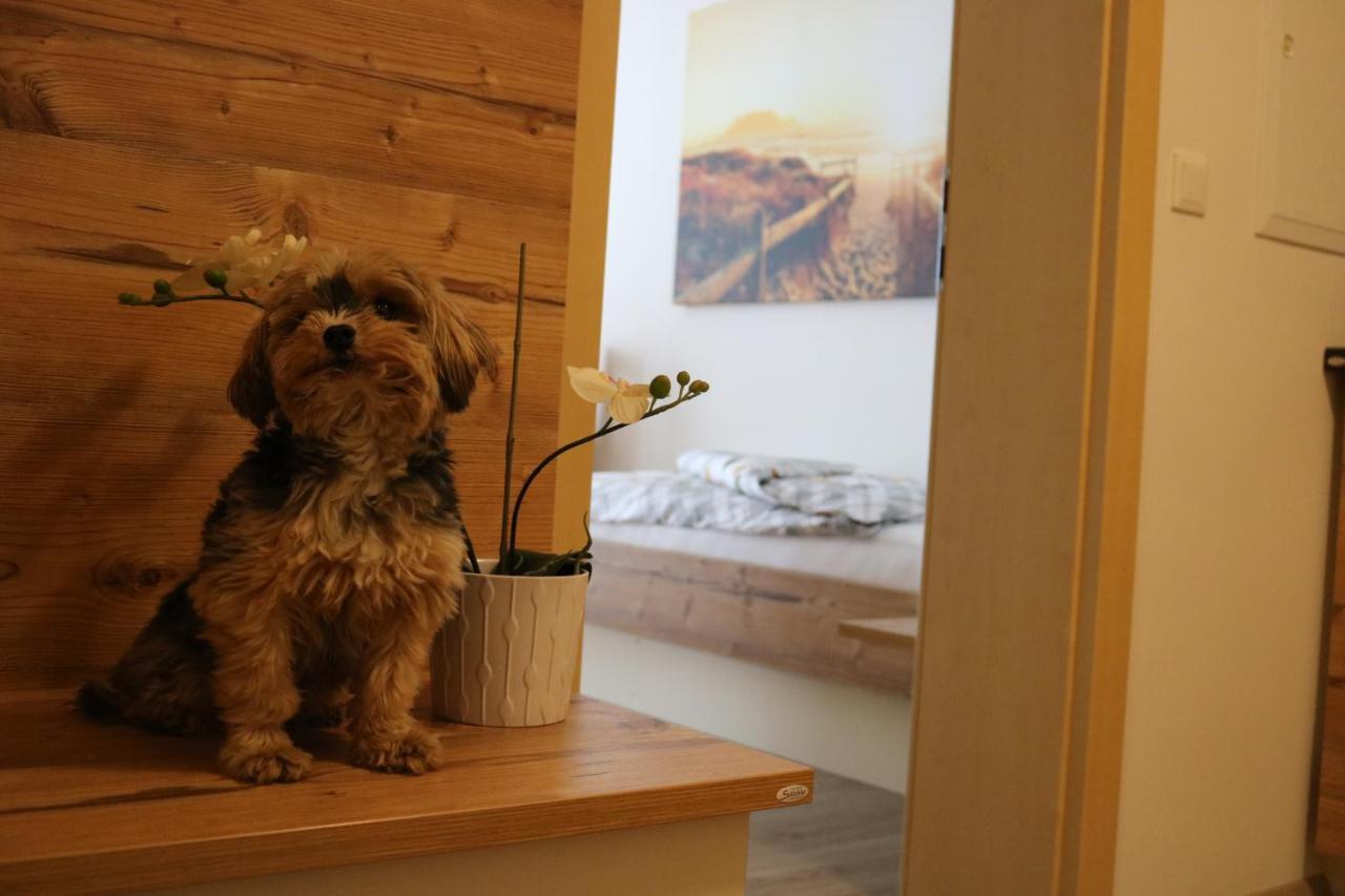 Zirben Diamant Rooms & Dogs Obdach Exteriér fotografie